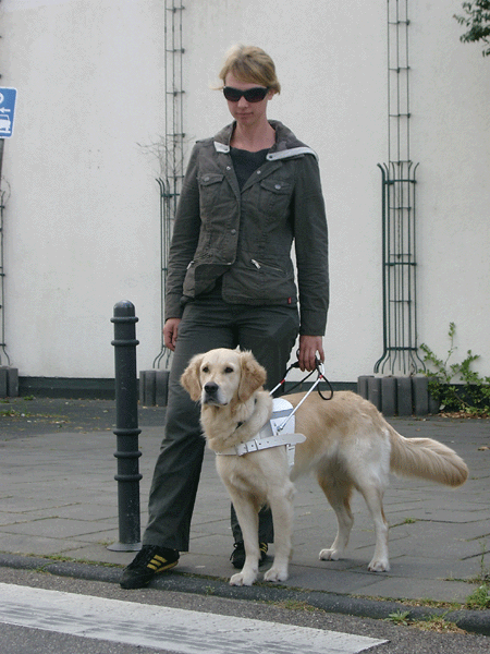 Das Bild zeigt Solveig Burauen mit einem Blindenführhund