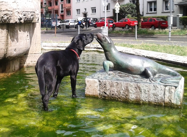 Auf diesem Bild steht Arzu in einem Brunnen. Es sieht so aus, als würde sie einer ihr gleich großen Eidechse aus Stein einen Nasenstups geben.