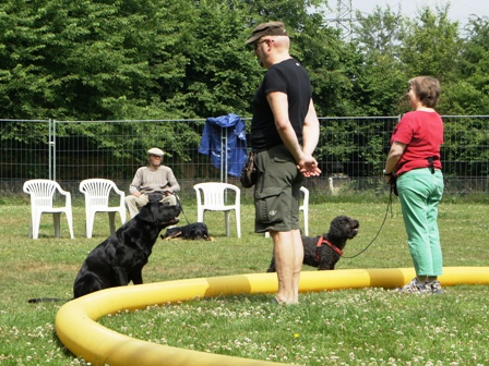 Gruppenunterricht Longiertraining