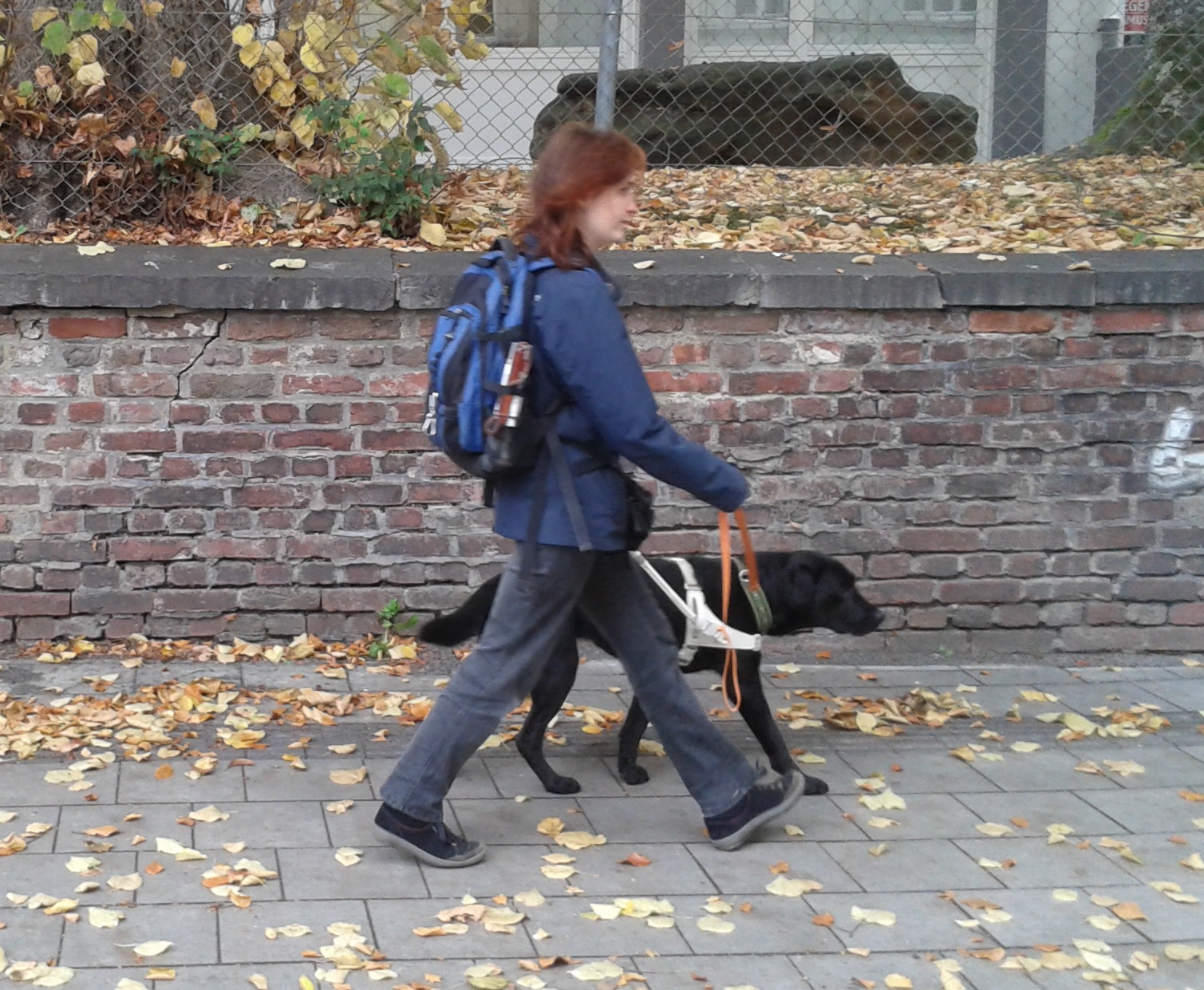 Auf diesem Bild sieht man Arzu und Ihre frischgebackene Führhundhalterin.  Sie laufen fröhlichen Schrittes einen Gehweg entlang.