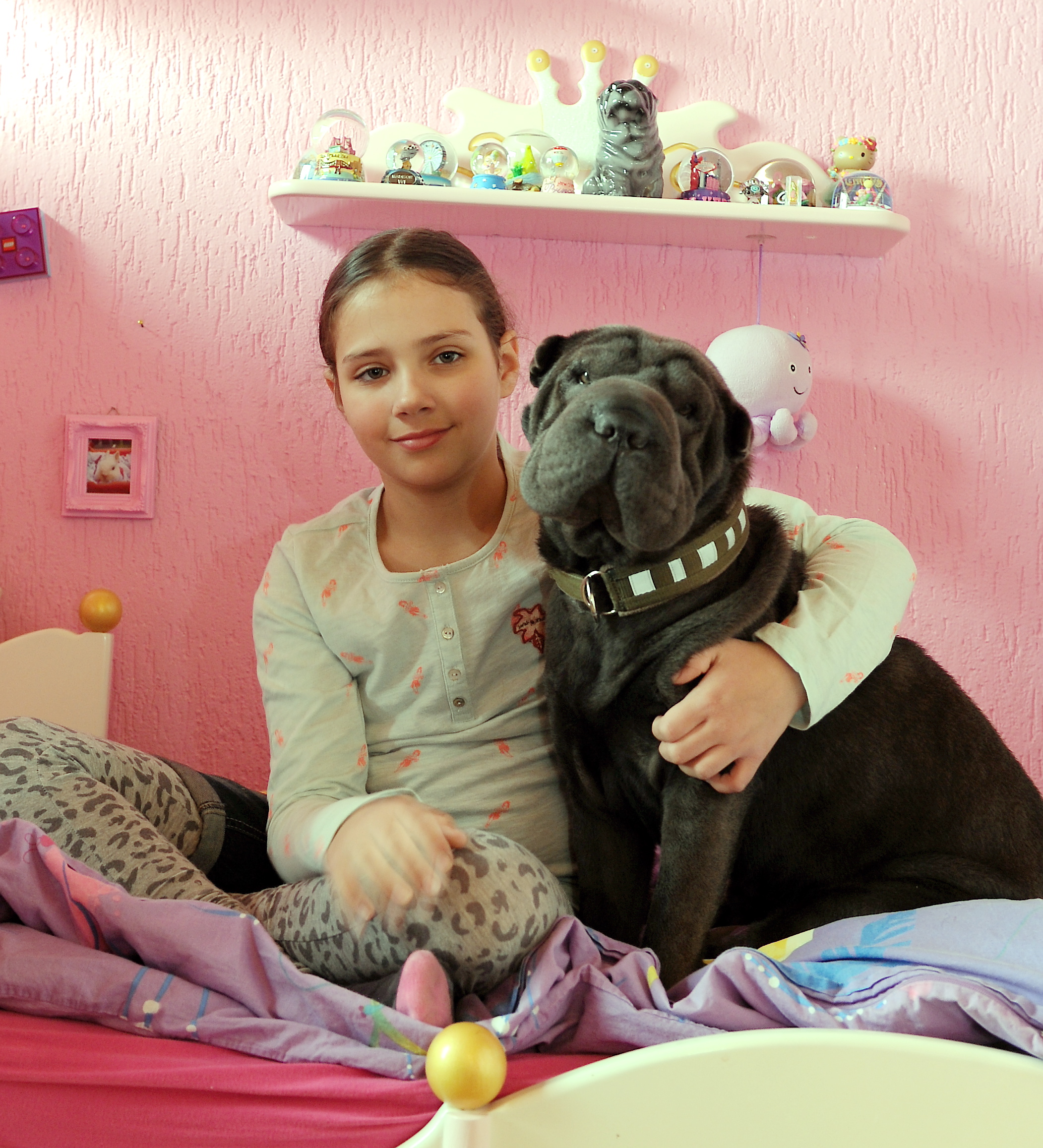 Die 9 Jahre alte Tita und ihre Shar-Pei-Hündin Betty sitzen gemeinsam auf dem Bett