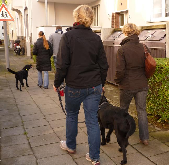 Auch Fhrhunde sollen an lockerer Leine zu fhren sein