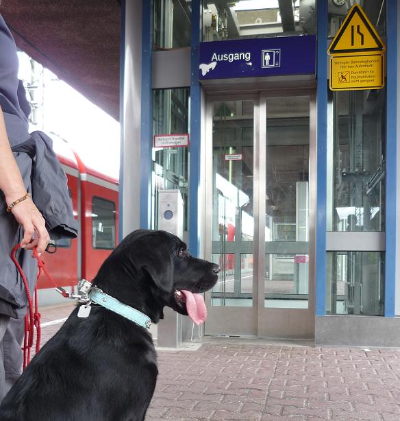 Am Bahnsteig gibt es viel zu staunen